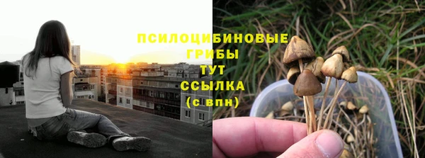 твердый Мегион