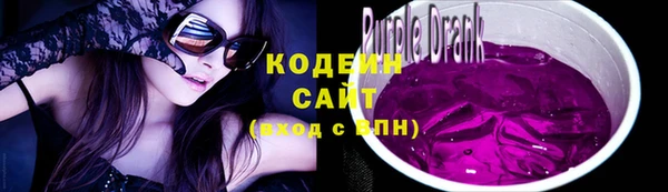 молекула духа Медвежьегорск