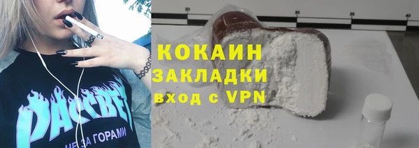 твердый Мегион