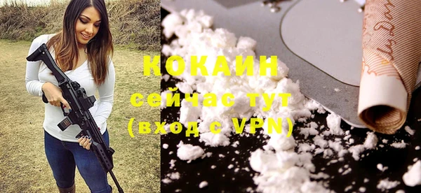 молекула духа Медвежьегорск
