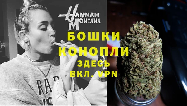 молекула духа Медвежьегорск