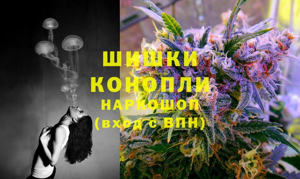твердый Мегион
