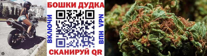 Конопля MAZAR  Вытегра 